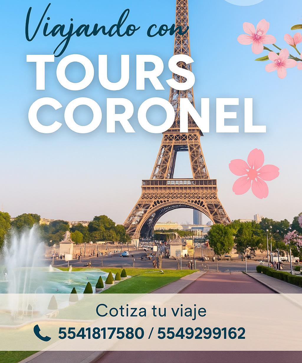 Alberca y área de descanso